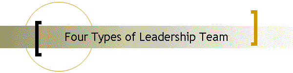 Four Types of Leadership Team